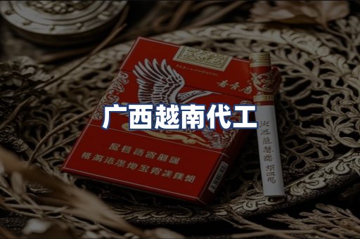 广西越南代工